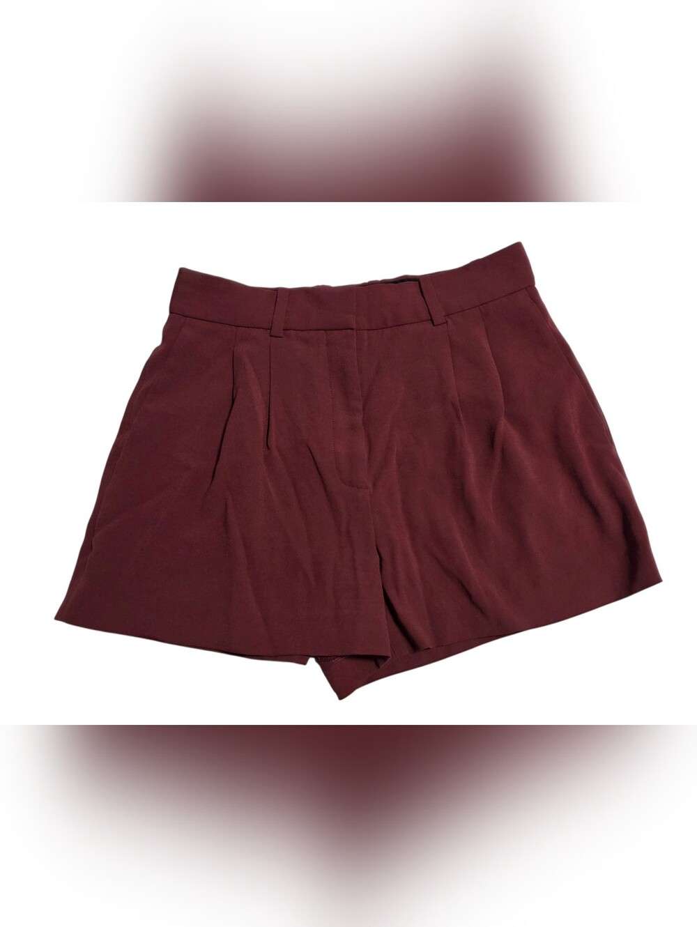Babaton Aritzia Atelier Pleated Shorts Size 4